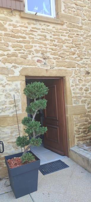 Le Gite Des Pierres Dorees Marcilly-d'Azergues Dış mekan fotoğraf