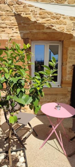 Le Gite Des Pierres Dorees Marcilly-d'Azergues Dış mekan fotoğraf
