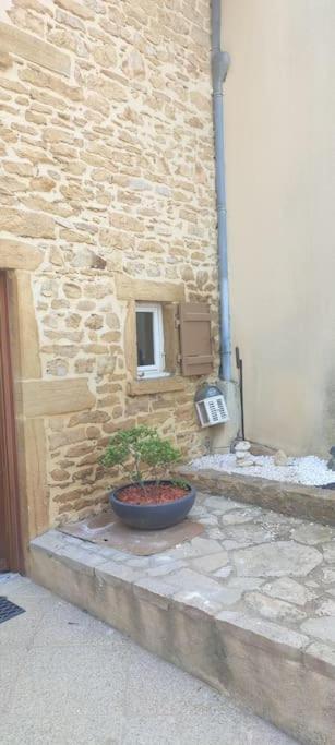 Le Gite Des Pierres Dorees Marcilly-d'Azergues Dış mekan fotoğraf