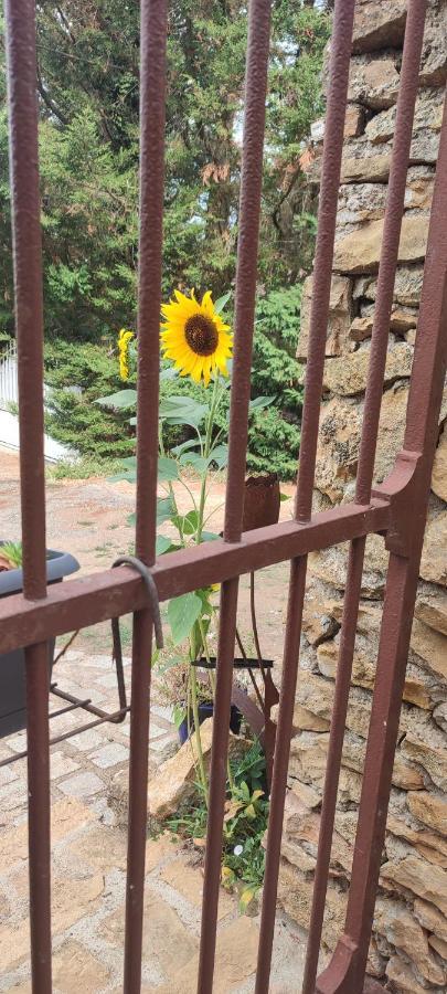 Le Gite Des Pierres Dorees Marcilly-d'Azergues Dış mekan fotoğraf